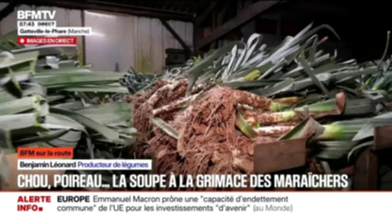 Les maraîchers en colère face à la chute des prix du chou et du poireau