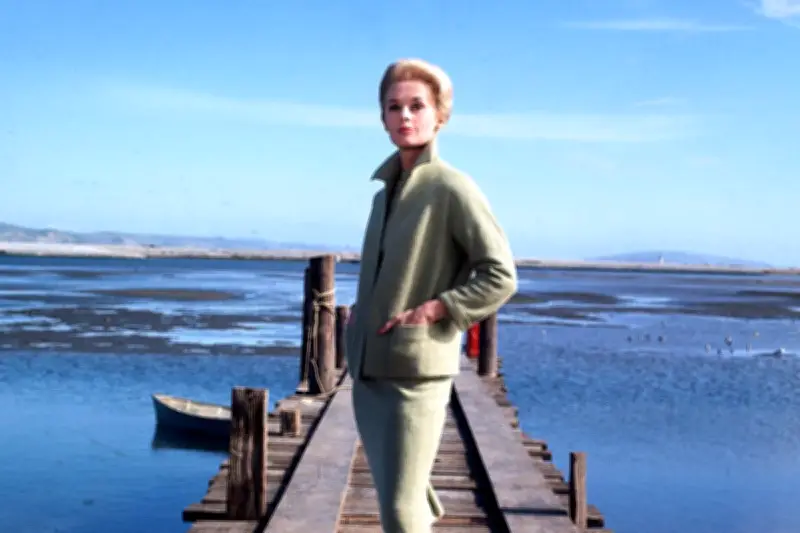 « Les Oiseaux » d'Hitchcock : du suspense au gore, une œuvre visionnaire