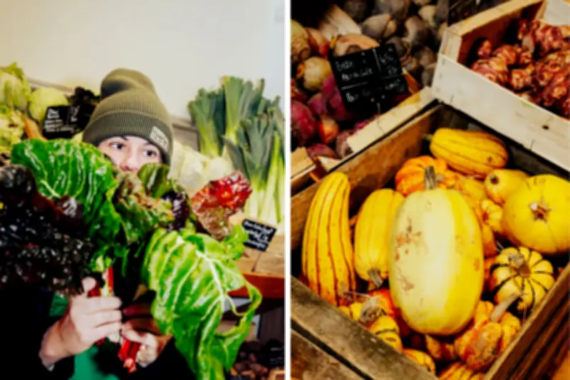 Les épiceries durables : un pari économique et écologique en pleine expansion