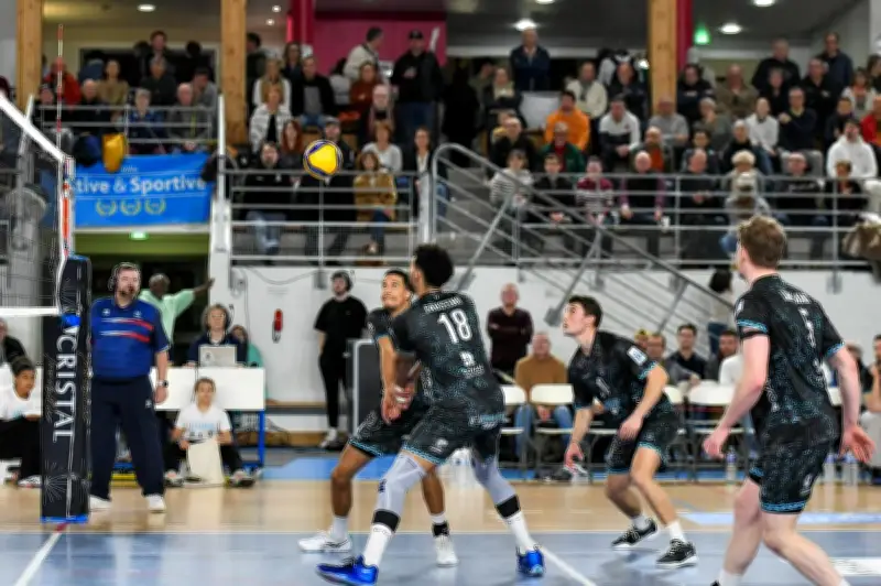 Les Pirates de Royan affrontent Nancy, seule équipe à les avoir battus à domicile