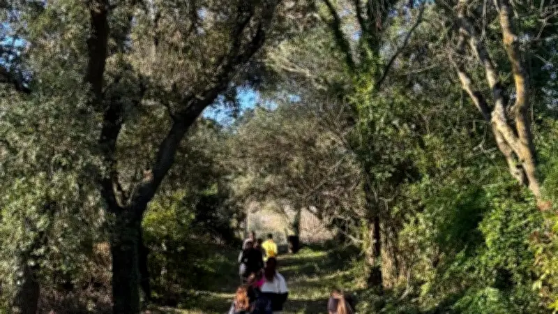 Les Saint G Runneuses : sororité et course à pied à Saint-Geniès-des-Mourgues