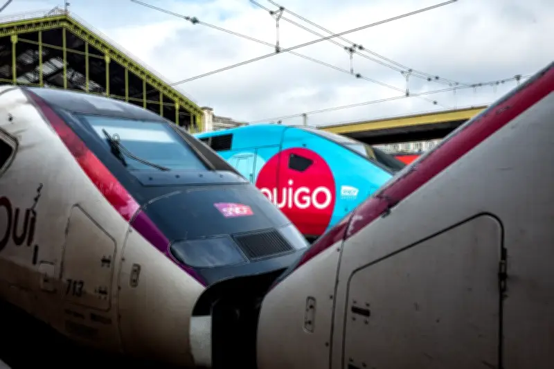 Les tarifs des TGV Ouigo, l'offre low-cost de la SNCF, ont bondi de 75% en sept ans