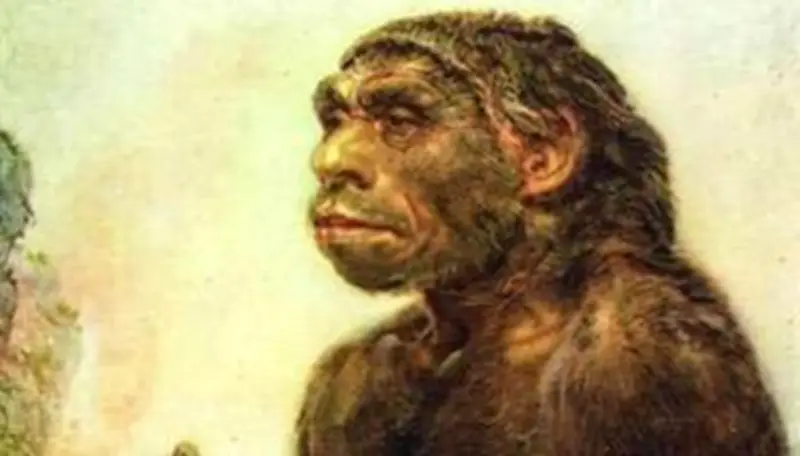Les unions préhistoriques révélées : Néandertaliens et Homo Sapiens se croisaient fréquemment