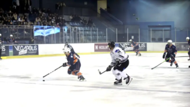 Les Vipers de Montpellier entament les play-off avec une confiance renforcée