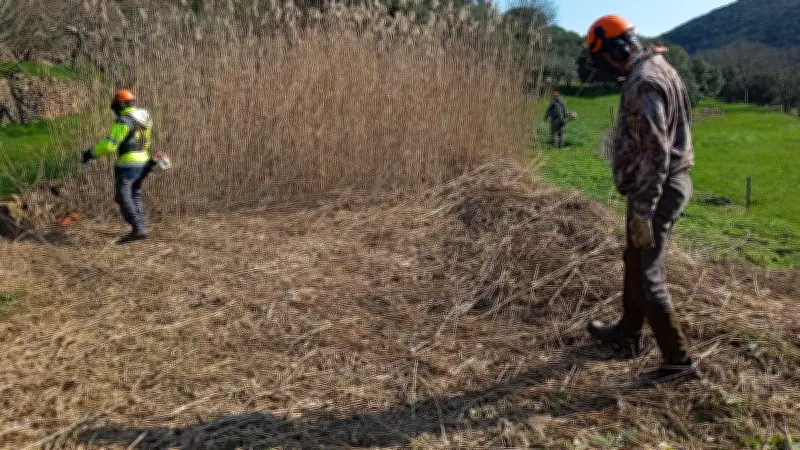 L'Esat La Pradelle récompensé par une médaille d'or au concours Gard gourmand