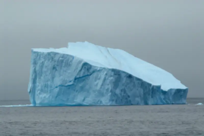 L'IA cartographie l'arbre généalogique des icebergs pour affiner les modèles climatiques