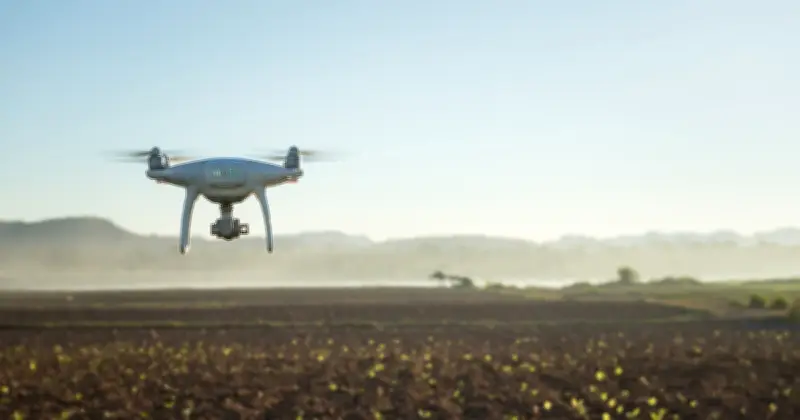 L'IA révolutionne l'agriculture française face aux défis climatiques et sanitaires