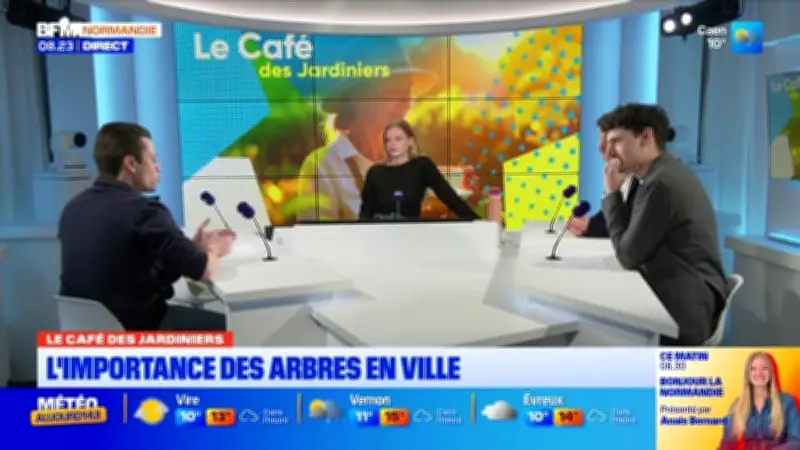 L'importance cruciale des arbres en milieu urbain pour la qualité de vie