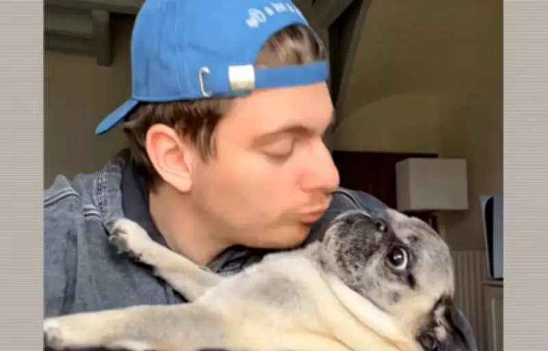 L'influenceur Cyril Schreiner avoue avoir inventé l'enlèvement de son chien