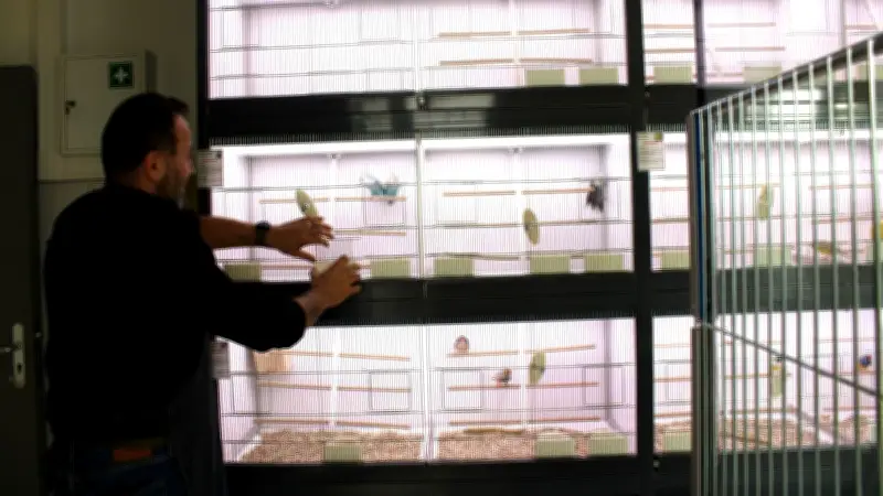 L'institut Marie-Sagnier forme les futurs professionnels de l'animalerie