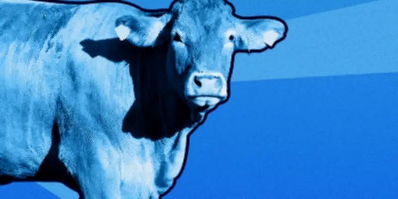 L'invisibilité du revenu agricole, source de la colère paysanne révélée