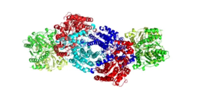 L'énigme de l'azote : comment la vie a appris à fixer l'élément le plus abondant