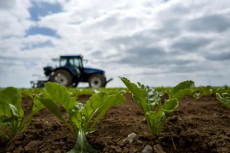 Loi Duplomb et pesticides : Christian Lannou de l'Inrae souligne les alternatives à l'acétamipride