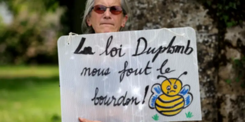 Loi Duplomb : l'Assemblée nationale rouvre le débat sur un texte controversé