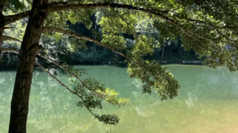 Lozère : Randonnée LPO, festival de contes et trail de Bassy au programme