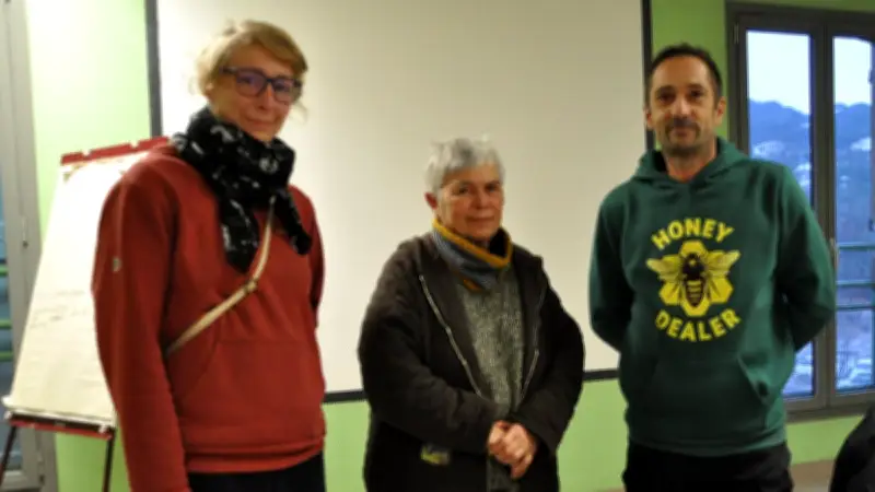 Lutte contre le frelon asiatique : une mobilisation citoyenne pour protéger les abeilles