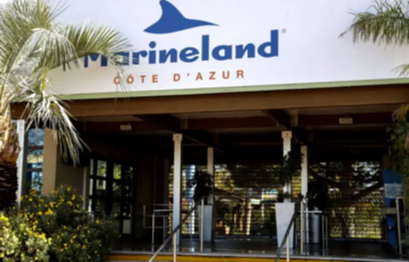 Marineland d'Antibes : une décision définitive sur le sort des cétacés d'ici mars 2026