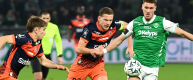 Mercato du MHSC : une offre du FC Bâle pour Becir Omeragic, un départ imminent ?