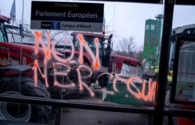 Mercosur : la Commission européenne active l'accord malgré l'opposition du Parlement