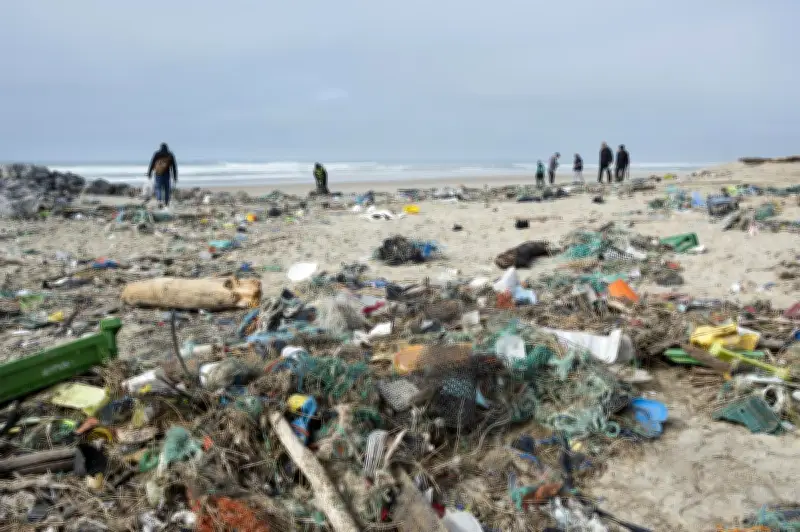 Mimizan envahie par une marée de plastique et de cadavres d'oiseaux après les tempêtes