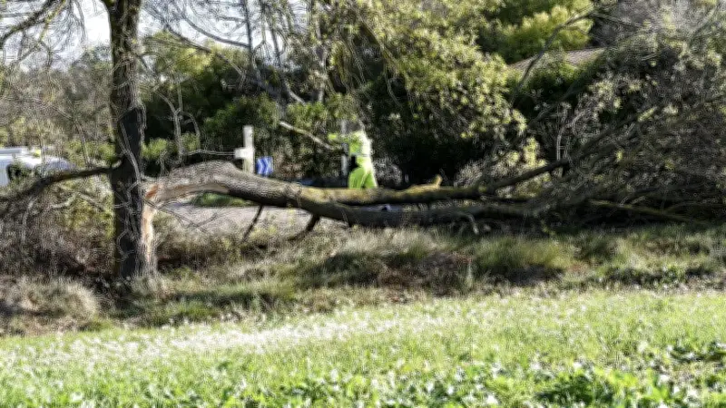 Montpellier ferme ses espaces verts face aux vents violents jusqu'à vendredi