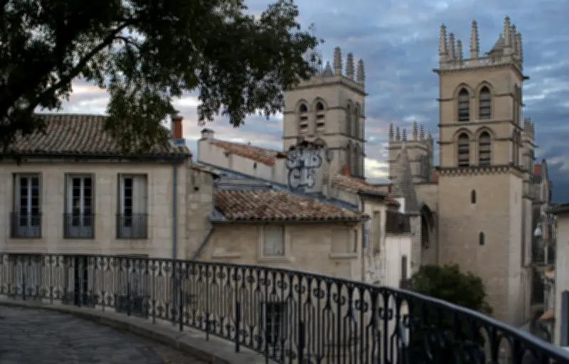Montpellier : l'Église s'indigne après la profanation de la cathédrale Saint-Pierre
