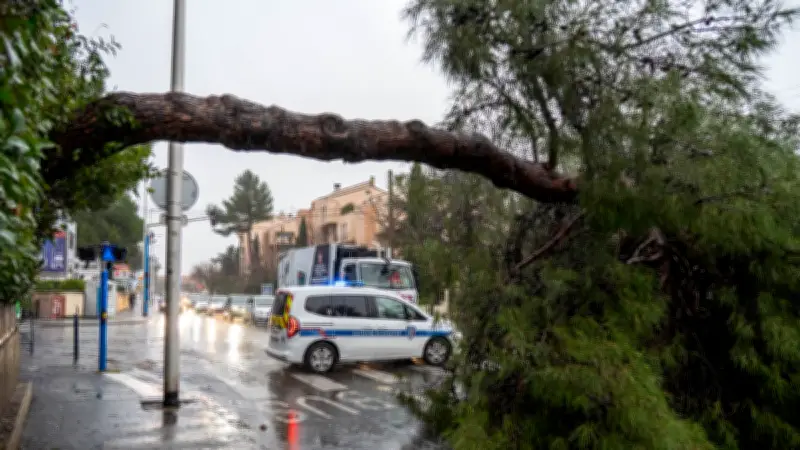 Montpellier prolonge la fermeture de ses parcs et cimetières face aux vents violents