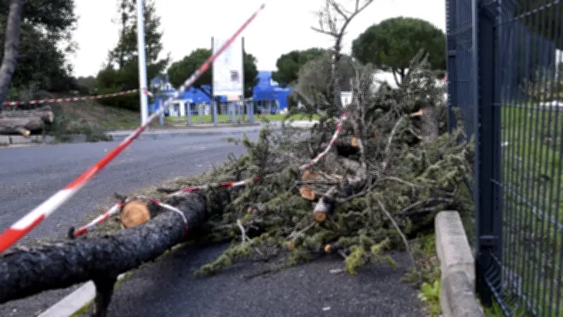 Montpellier : réouverture éphémère des parcs après la tempête Nils