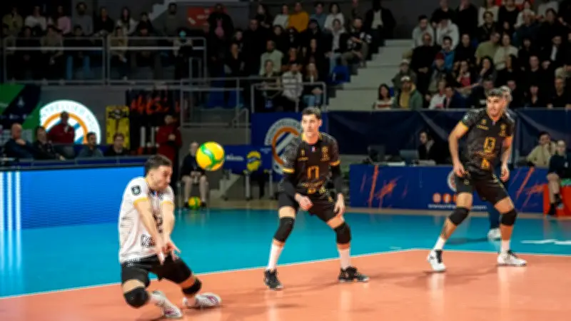 Montpellier Volley-Ball : une forteresse imprenable à domicile