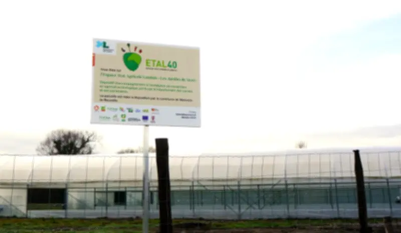 Moré : Installation d'une maraîchère bio et projets municipaux adoptés