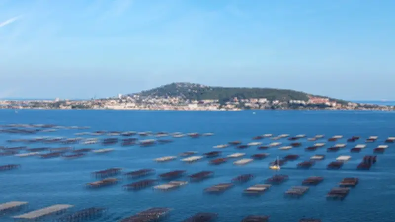 Municipales 2026 à Sète : l'environnement divise les candidats sur l'eau et l'urbanisme