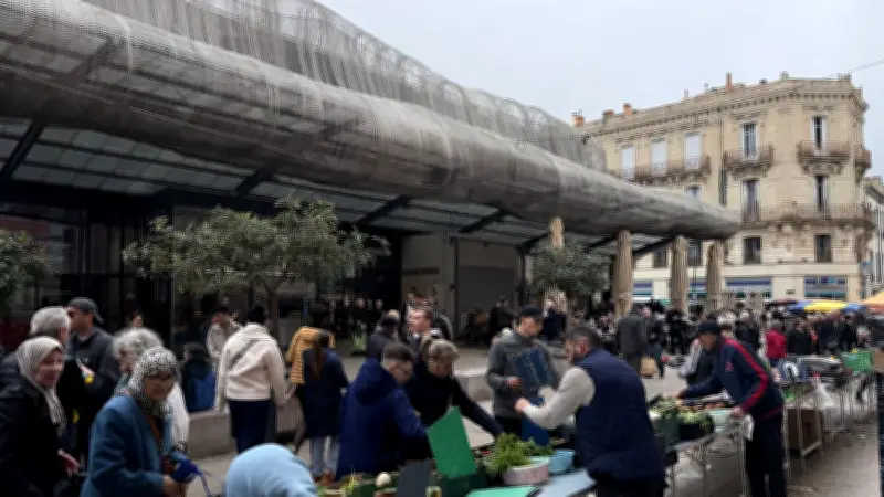 Municipales 2026 à Sète : les habitants du cœur de ville entre amour du quartier et défis touristiques