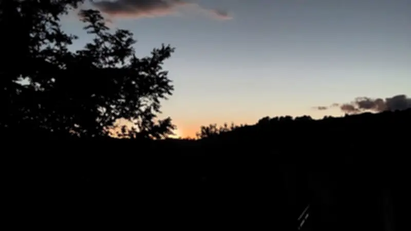 Murviel-lès-Montpellier : Une soirée cinéma révèle la vie sauvage nocturne du Pic Saint-Loup