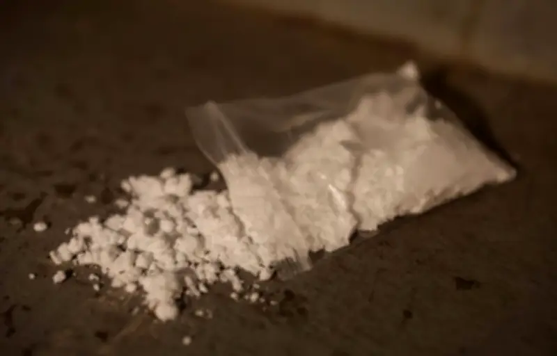 Narcotrafic en France : les douanes saisissent 31 tonnes de cocaïne en 2025, une hausse de 49%