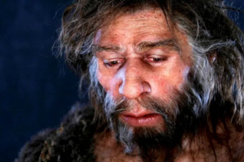 Neandertal, notre cousin préhistorique : au-delà des préjugés, une réalité complexe