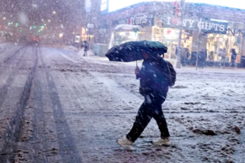 Neige à New York, mort d'un baron mexicain, bagarre au Salon : l'actu du 23 février