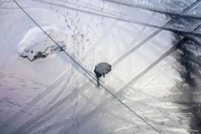 New York paralysé par une tempête de neige historique, la pire depuis dix ans