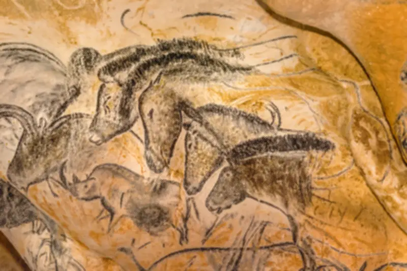 Nicolas Chaudun dévoile l'histoire politique du cheval, de la guerre au pouvoir