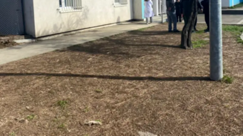 Nîmes : marche blanche pour Salah Eddine, 8 ans, fauché mortellement par une voiture