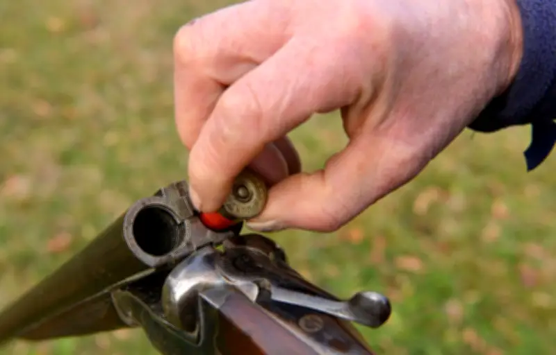 Nord : un homme tire sur sa compagne dans une pharmacie, 20 armes saisies