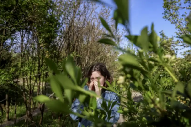 Nouvelle-Aquitaine en vigilance rouge aux pollens : les gestes à adopter