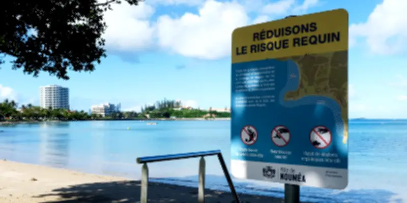 Nouvelle-Calédonie : un médecin tué par un requin en pratiquant le wing foil à Nouméa