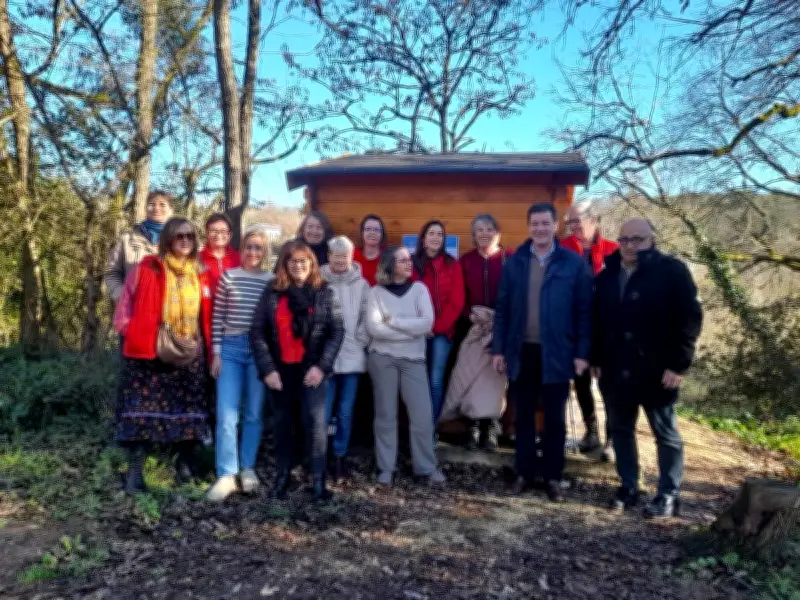 Nérac protège ses chats errants avec des abris et des stérilisations