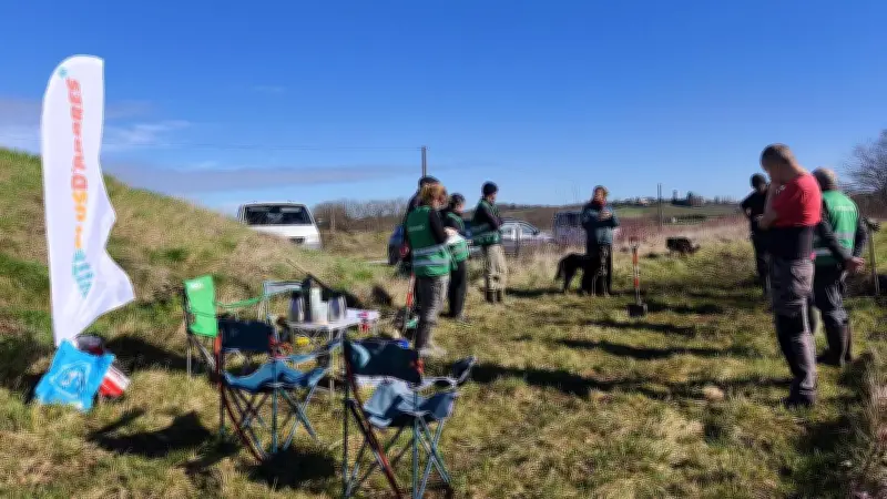 Opération Vite plus d'arbres : 200 plants sauvés avant un projet photovoltaïque