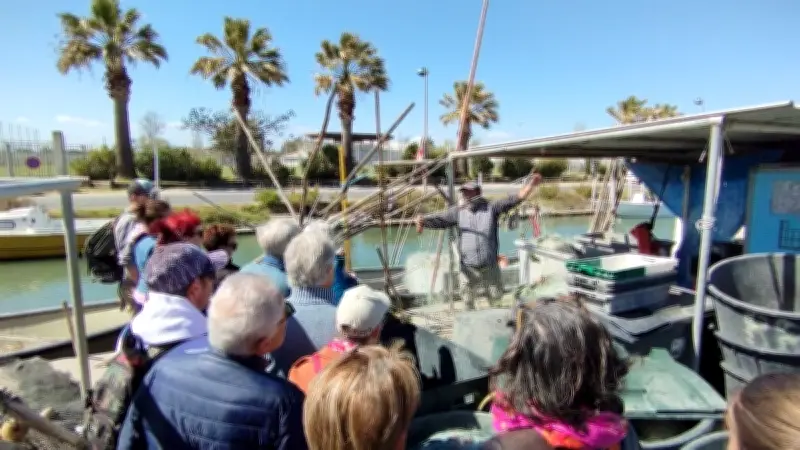 Palavas-les-Flots : Ateliers et visites guidées pour les vacances d'hiver