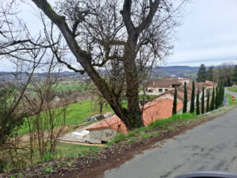 Panacéa, start-up FoodTech, face à un imbroglio administratif malgré une levée de fonds prometteuse