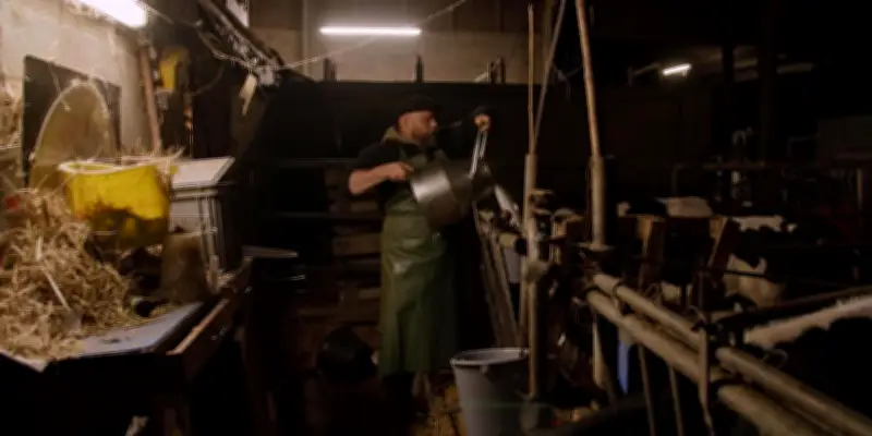 Passion et résilience : cinq éleveurs laitiers français racontent leur métier