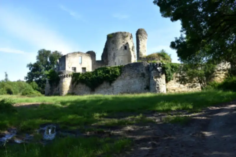 Patrice Mauget publie un livre sur la forteresse médiévale de Blanquefort