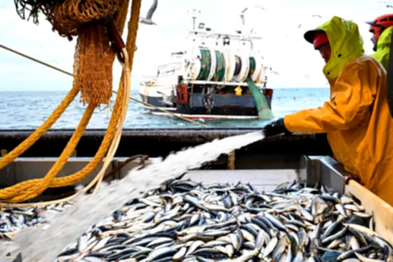 Pêcheurs français : Macron sollicité pour défendre la filière auprès de l'Europe