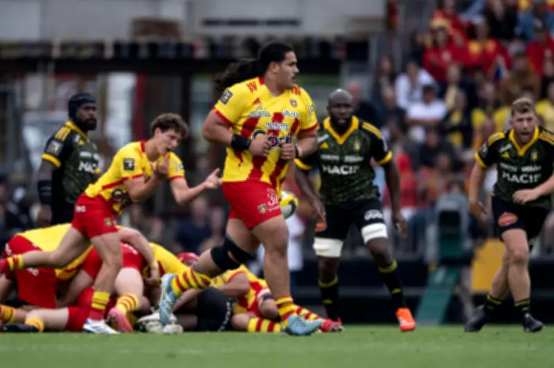 Perpignan renforcé pour affronter Pau avec le retour de Tuilagi et Van Tonder